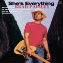 She's Everything - Brad Paisley 이미지