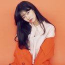 수지장식 이미지