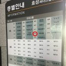 망우역 | 쿠미네일 | 유지력 좋은 망우역네일 솔직 후기