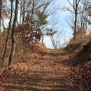 대전둘레산길(4구간) | 대전둘레산길 3번째 - 4구간 식장산길