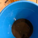 SG골프 당진점 이미지