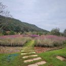 보은산V랜드 이미지