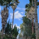 오쇼 하우스 이미지