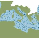 바다사람들 이미지