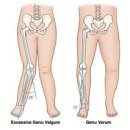 머슬 라운지 이미지