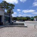 예체문화관 수달수영장 네이버블로그
