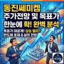 동진쎄미켐