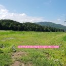 삼삼공인중개사사무소 이미지