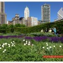 도심의 쉼터 이미지