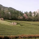 설록원 - 경주시 중앙로34번길 5 | 설록원