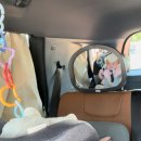 베이비플러스부천점 이미지