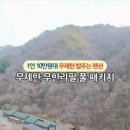 홍천사우나찜질방 이미지