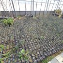 갤러리하루농장 이미지