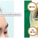 동경헤어라인