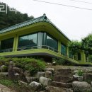 예그리나 B 이미지