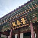 경慶 | 2024.10.13 창경궁 중양절 다례체험 후기