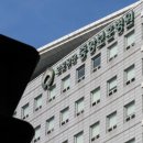서울보훈병원 세계일보