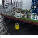 First Farm 이미지