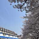 평택대학교 농구장