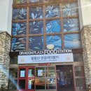대인카프라자