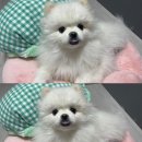 영빈다방 이미지