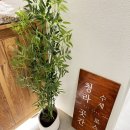 청라곳간 부천심곡점 | [부천/카페] 애견 동반 디저트 카페 &#39;청라곳간 부천심곡점&#39; 내돈내산 후기