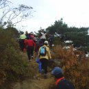 가락초등학교 이미지