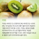 착한과일 이미지