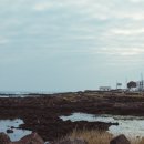 별방으로의 산책 이미지