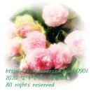 한솔뜰근린공원 이미지