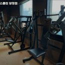 웰핏헬스클럽 네이버블로그