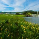 롯데스카이힐제주CC(회원제 18홀) 이미지