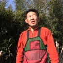 화개초등학교왕성분교장 이미지