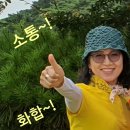 제부도힐링펜션 이미지