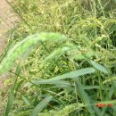 동트는어린이집 이미지