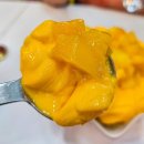 플러스마트 건너편 | 보홀 디저트 맛집 할로망고(Halo Mango) 망고빙수 솔직 후기 &amp; 꿀팁