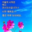 정직 이미지