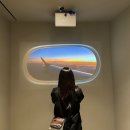 2023.06.25. 일요 일기: 롯데백화점 부산 본점(마뗑킴)/ 팔미분식(24시)/ 왕가 탕후루/ 전포 프루토프...