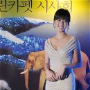 그린카펫 뉴시스