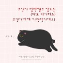 부평종합동물의료센터 이미지