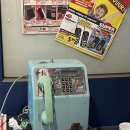 케이지클럽 | [청주/올드타운클럽] 청주 성안길 애견동반 이국적인 아시안 퓨전 음식점 올드타운클럽 내돈내산 후기