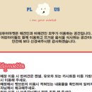 파인유어마켓