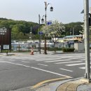 보운분식 - 부여군 중앙로13번길 23-5 | 보운분식