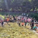 무릉도원면-9 이미지