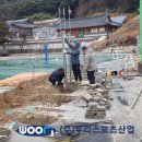강릉명륜고등학교 이미지