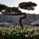 골망태 이미지