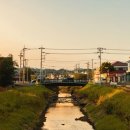 어느가을 오후 이미지