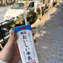 훼밀리마트 요선점 | 혼자 도쿄여행 3일차🗼(데이식스 도쿄 막콘 후기)