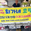 최가네호떡