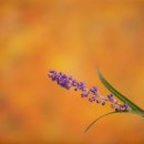 대전대학교천안한방병원 이미지